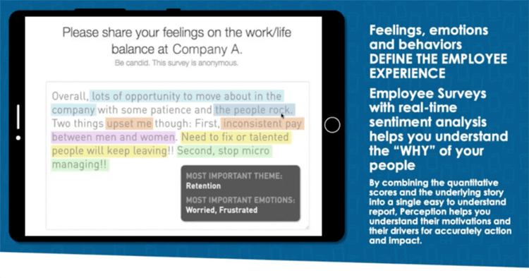 google focus on employee experience.