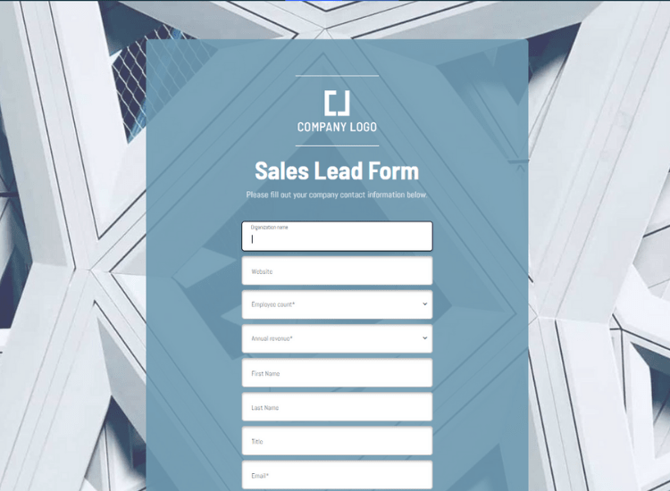 Sales Lead Form Template.