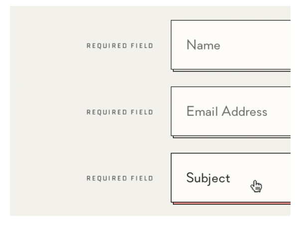 form fields screenshot.