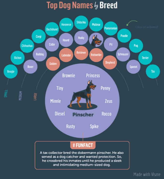 top dog names by breed.