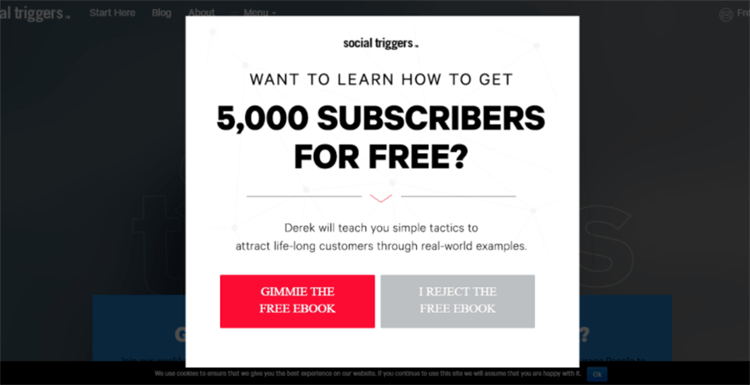 10 Lead Magnet Ideas to Get More Customers.