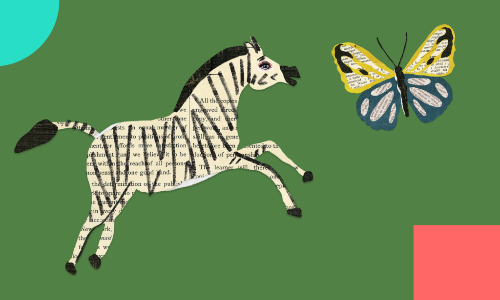 zebra and butterfly.